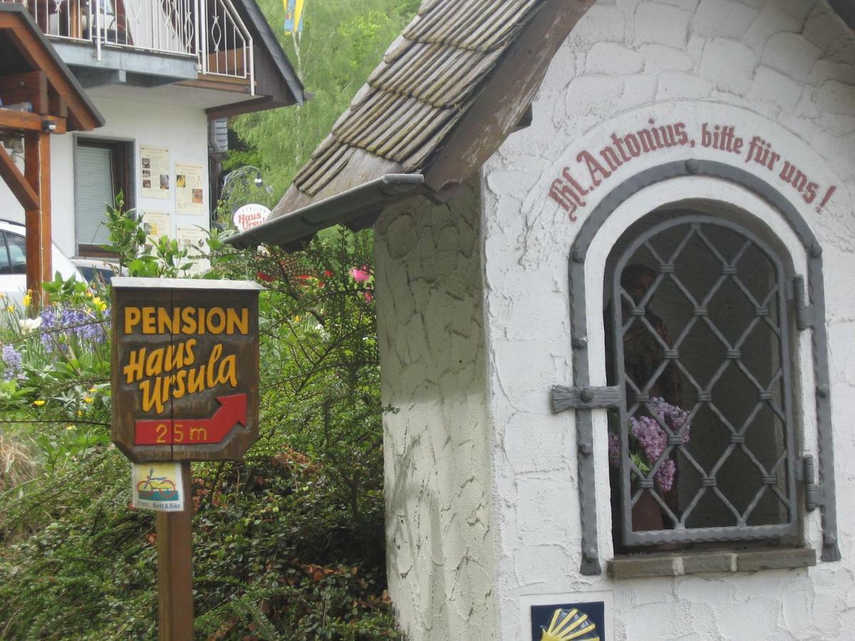 Pension Haus Ursula Koblenz  Ngoại thất bức ảnh
