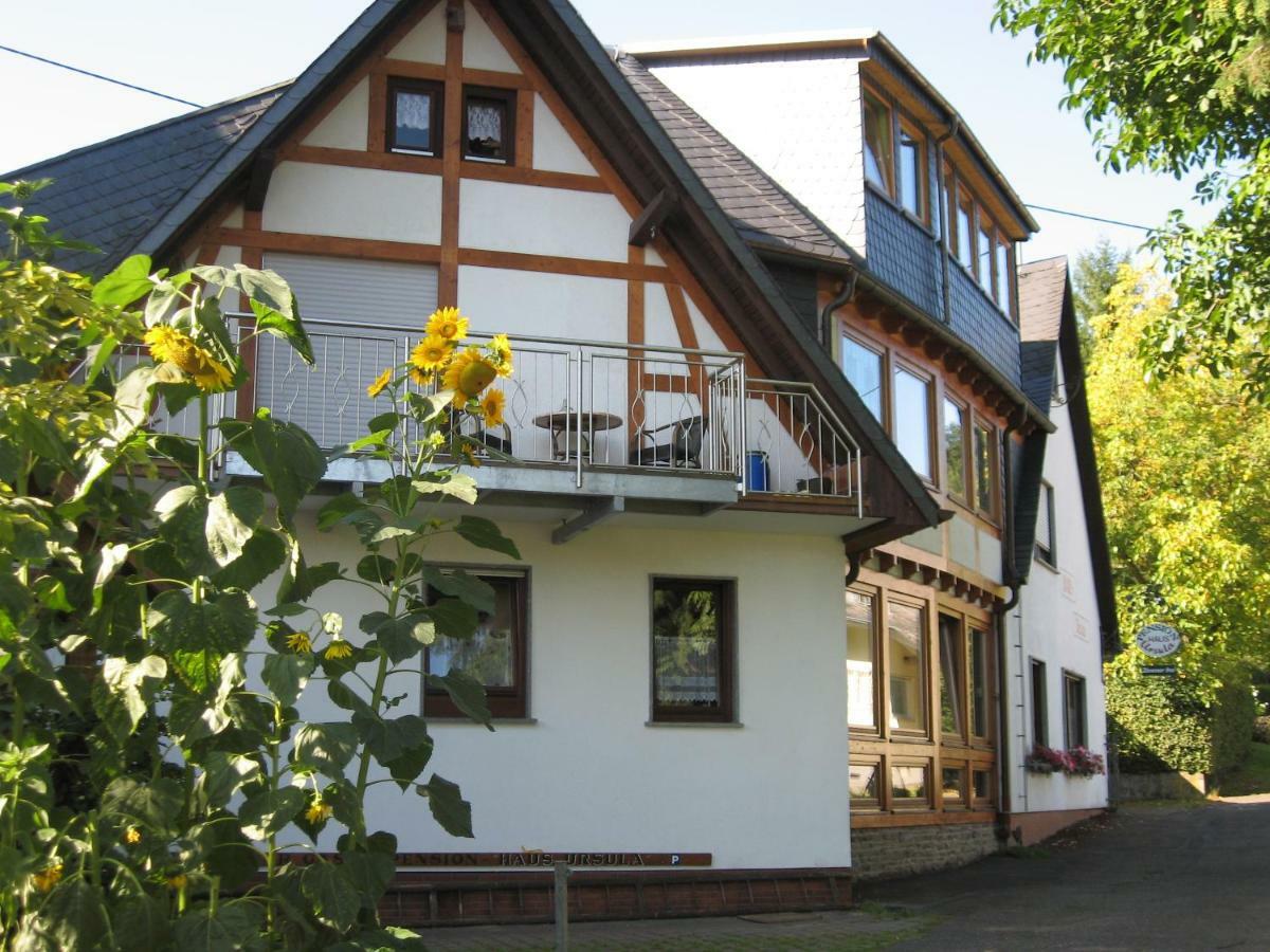 Pension Haus Ursula Koblenz  Ngoại thất bức ảnh
