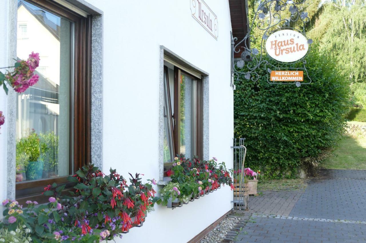 Pension Haus Ursula Koblenz  Ngoại thất bức ảnh